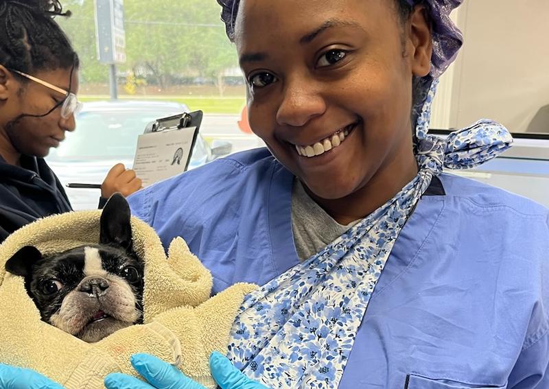 Oaks Veterinary Hospital | Gainesville Veterinarians