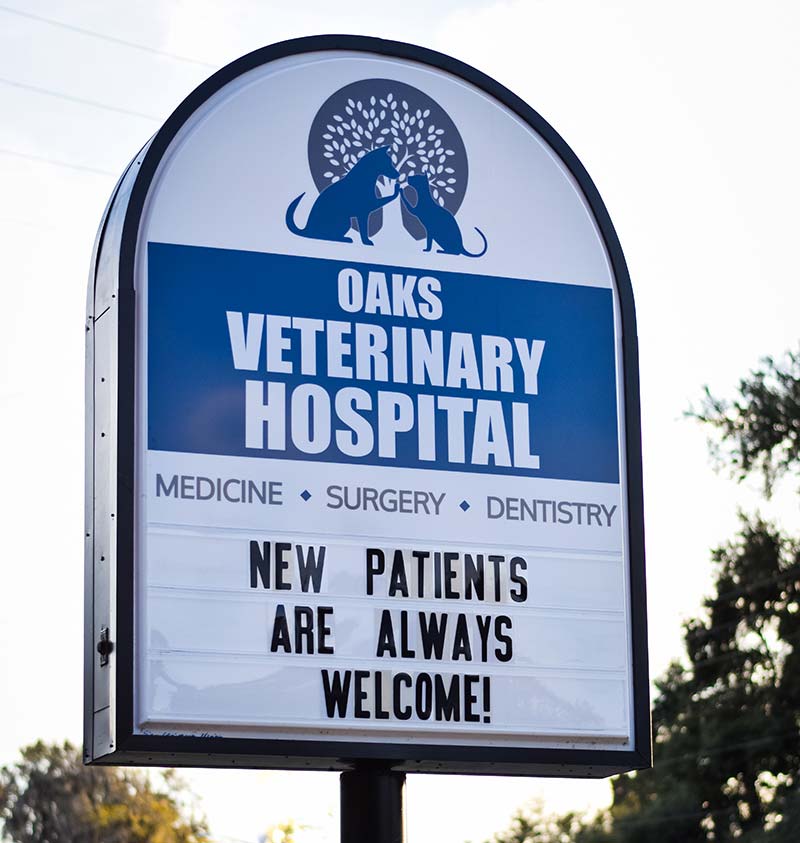 Gainesville FL Pet Hospital