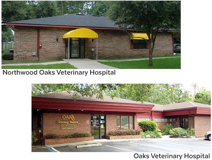 Oaks Veterinary Hospital | Gainesville Veterinarians