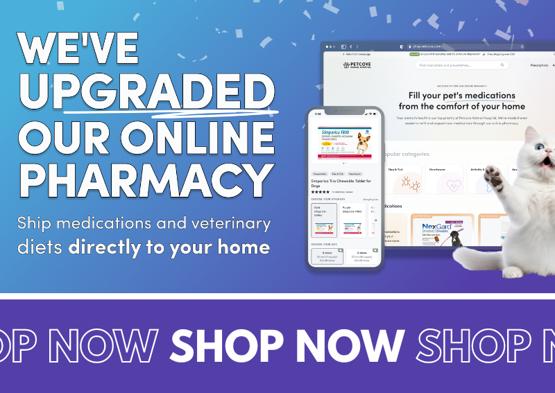 Carousel Slide 1: Order from our new and improved online pharmacy!