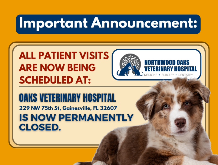 Important Update: Oaks Veterinary Hospital is Permanently Closed