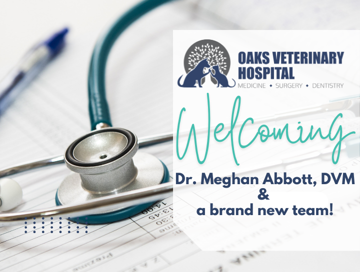 Welcoming Dr. Meghan Abbott, DVM